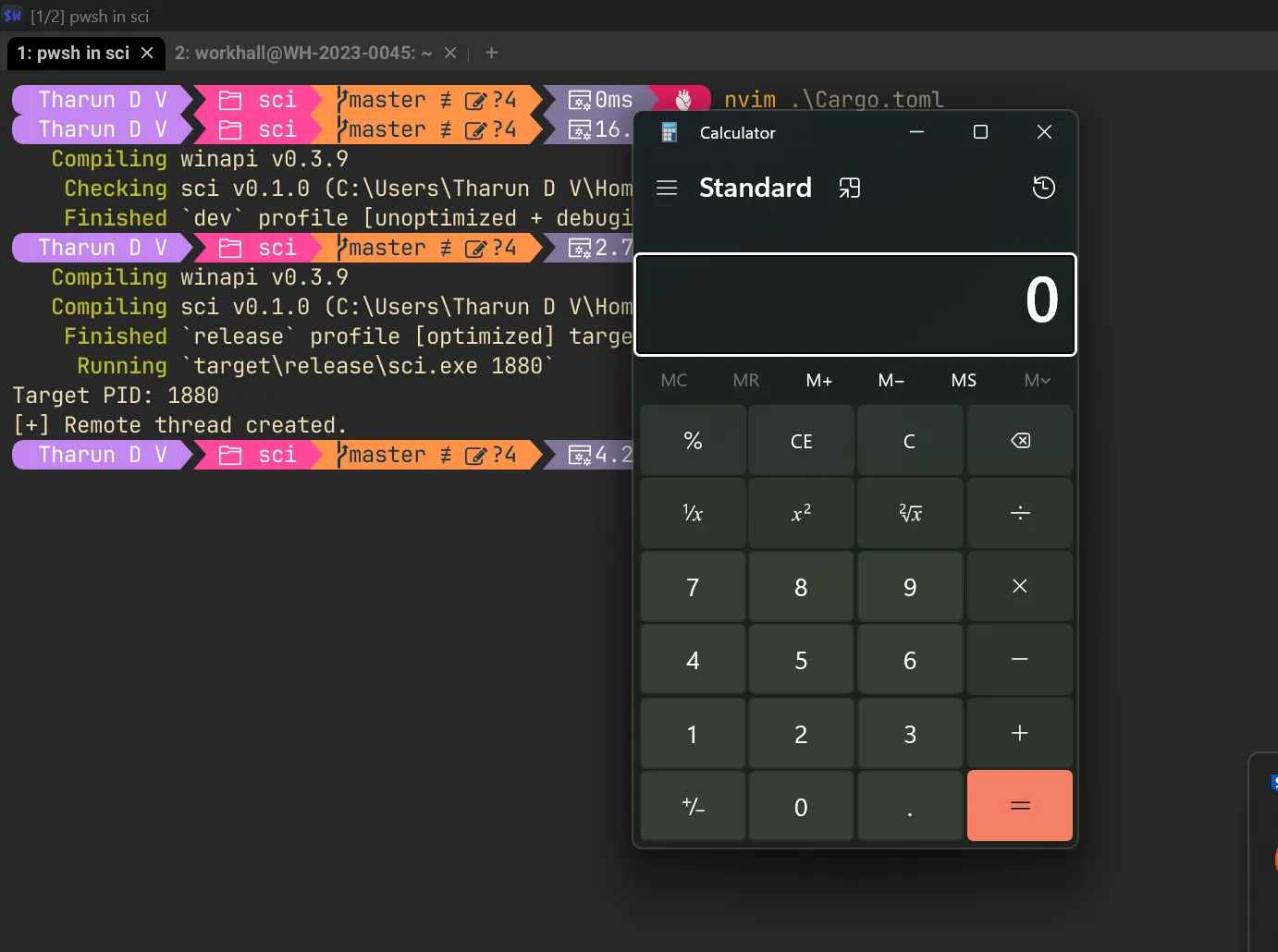 Execution of shellcode injection